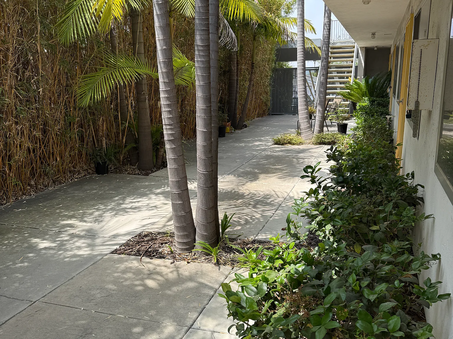 1 bed, 600 sqft, $2,200 — Photo 2