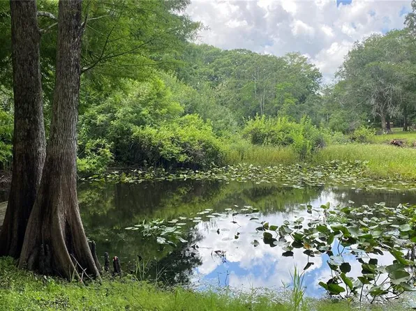 7234 County Road 651w, Bushnell, FL 33513