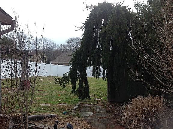 Fenced in back yard