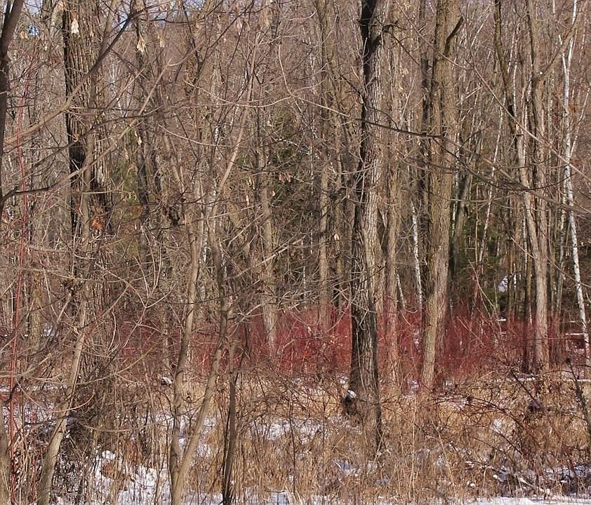 2nd image of LOT I Deer Run