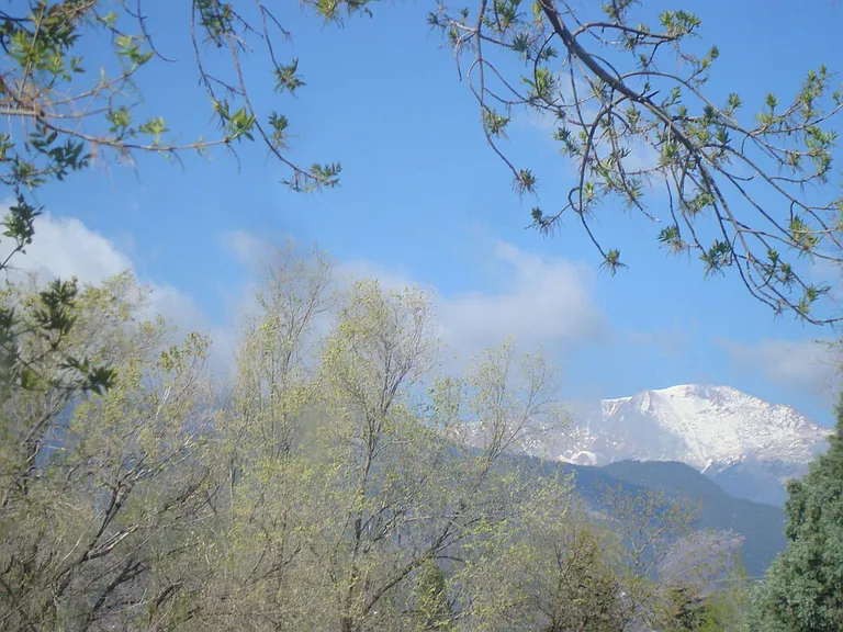 VIEW FROM THE FRONT PORCH
