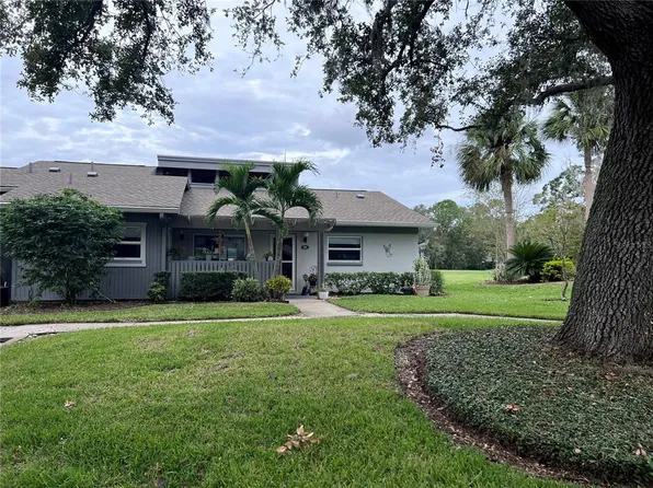 60 Ashley Ln, Oldsmar, FL 34677