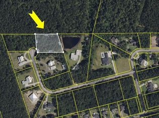 36 Huntington Ct, Walterboro, SC 29488