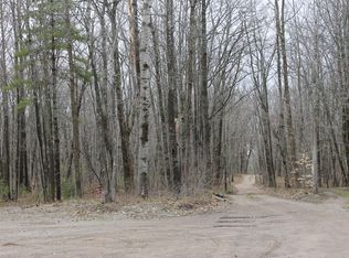 S Extension Rd, Indian River, MI 49749