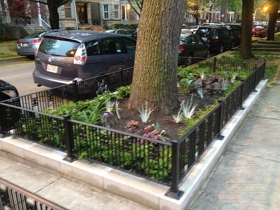 Front Garden