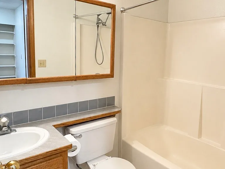Full Guest Bath