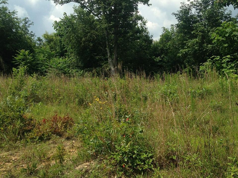 2nd image of 251 Firetower Rd