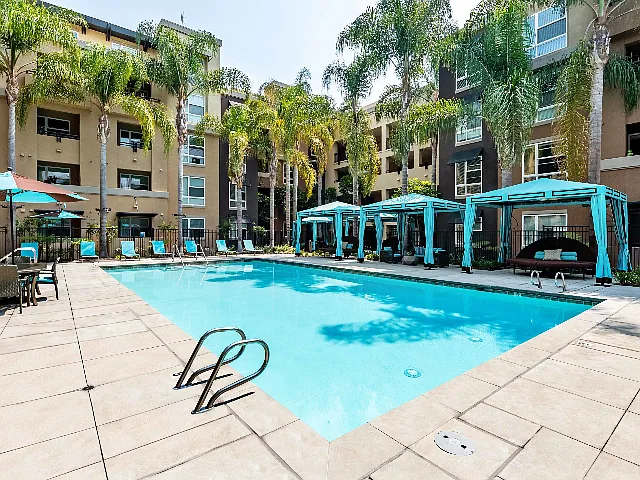 Calypso Apartments and Lofts — Photo 35