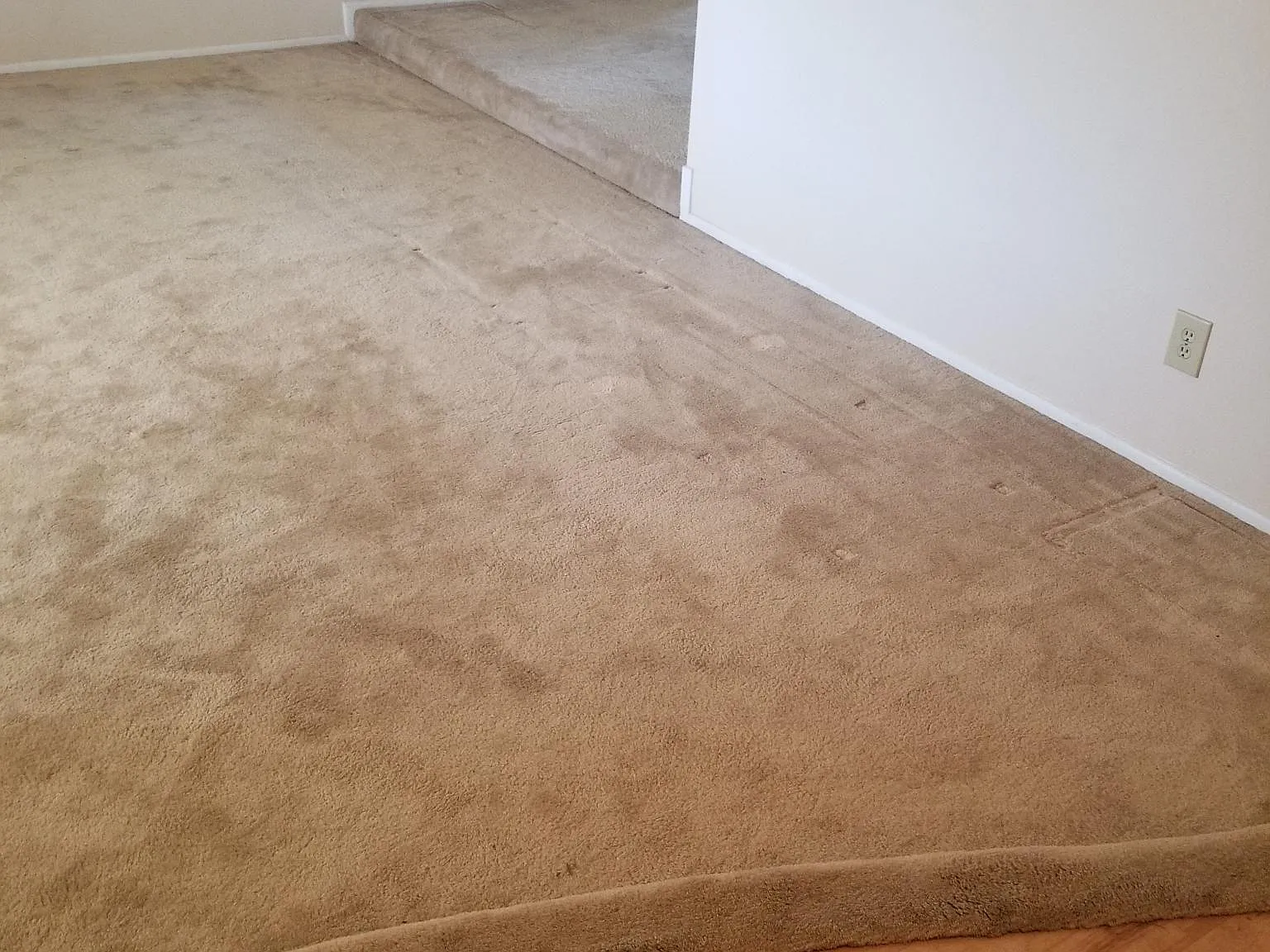 3 bed, 1786 sqft, $2,300 — Photo 3