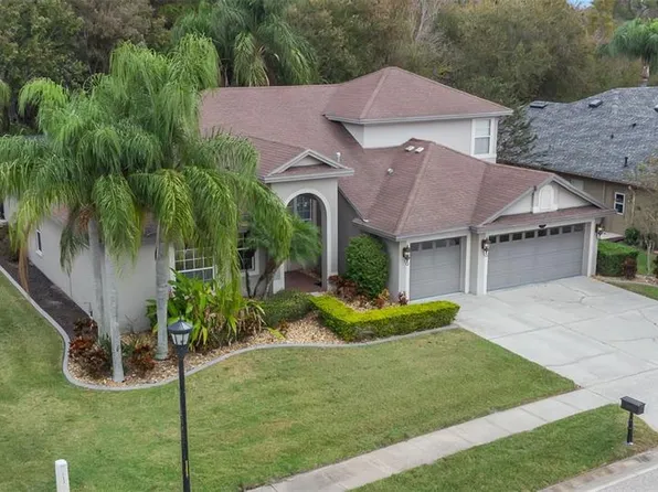 16048 Ivy Lake Dr, Odessa, FL 33556