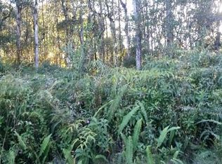 Lehua Rd LOT 410, Pahoa, HI 96778