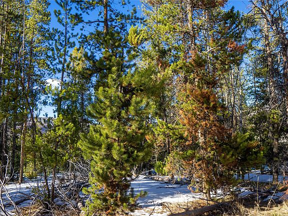 3rd image of 33548 Seneca Trail
