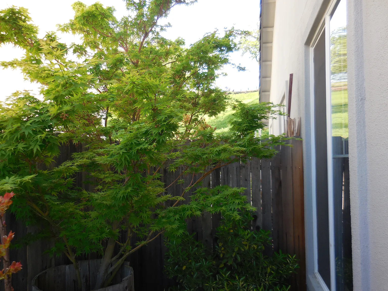 135 Gold King Dr photo 1