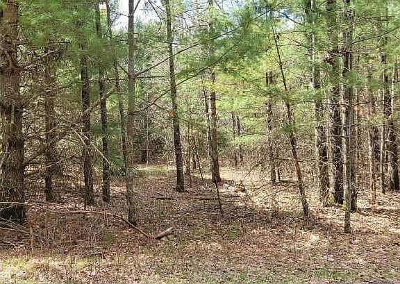 4th image of XXX Normans Landing Road