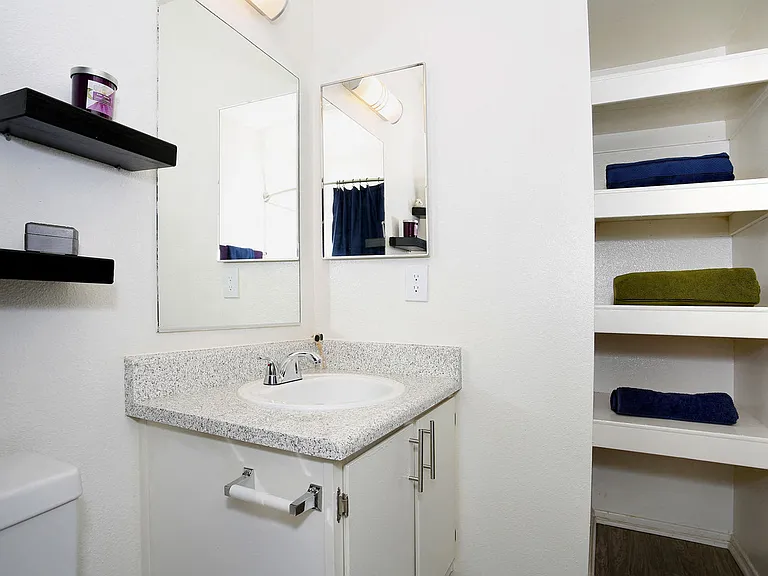 Guest Bathroom and Storage Shelves
