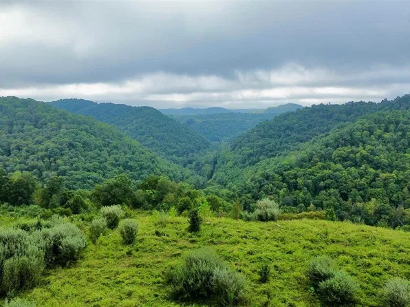 9074 Middle Fork Wolf Creek Rd, Pilgrim, KY 41250