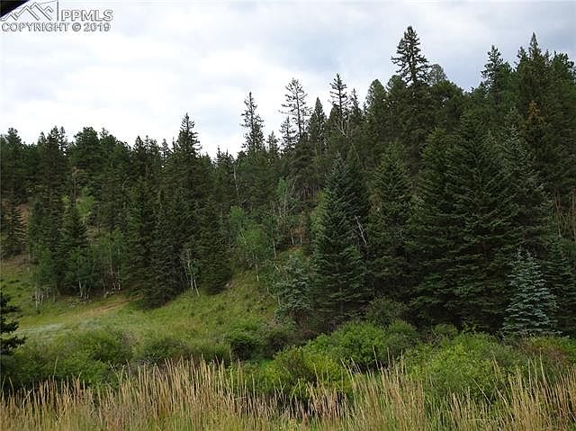 2nd image of 1676 Pathfinder Road
