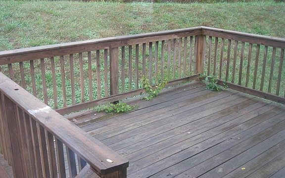 3rd image of 971 Garfield Way