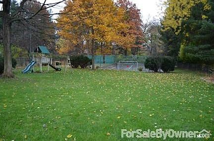 Back yard
