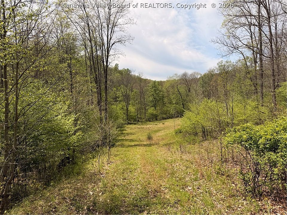 2nd image of 0 Cochran Rd
