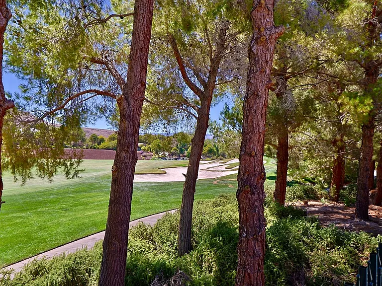 12047 Oakland Hills Dr — Photo 66