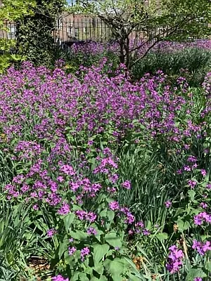 Sold by Remax Edge | media 29