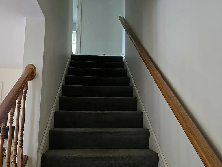 11 Horne St — Photo 10