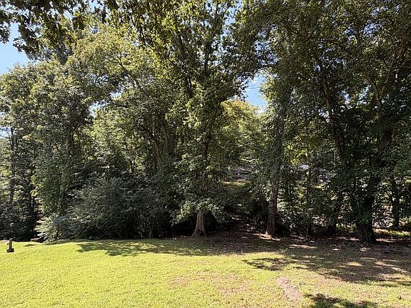 3rd image of 0 Fodder Creek Rd