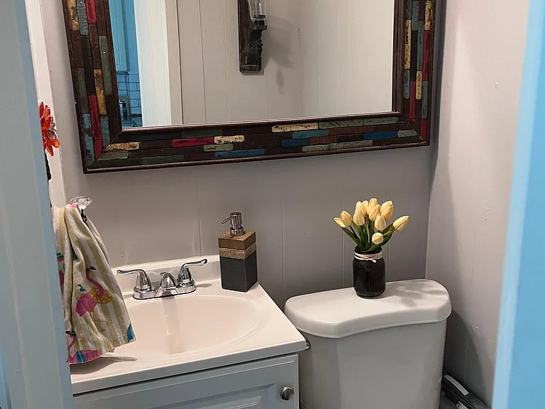 Downstairs bath