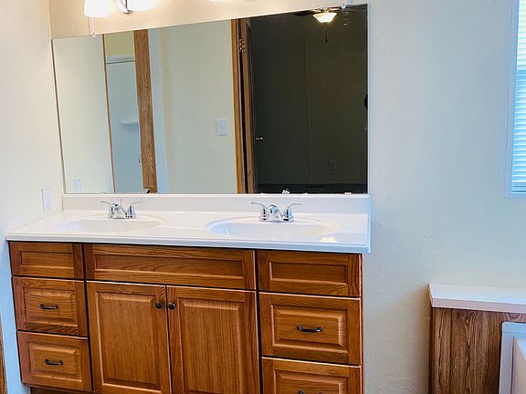 Master double vanity. 
