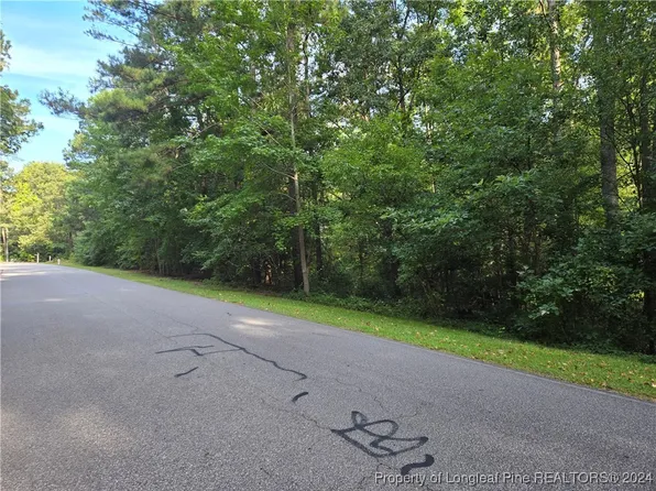 535 Loblolly Dr, Vass, NC 28394