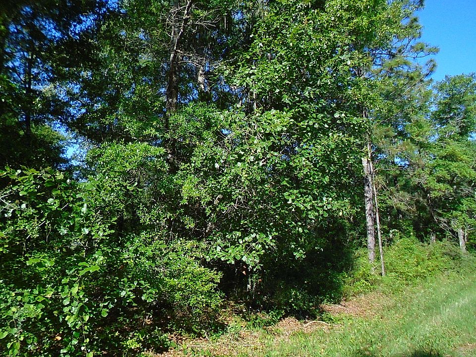 2nd image of King Lake Rd