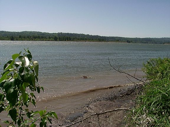 4th image of 199 Tidewater Dr