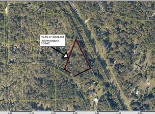 939 SW Bobcat Dr, Fort White, FL 32038