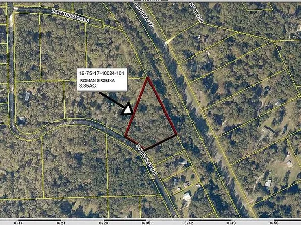 939 SW Bobcat Dr, Fort White, FL 32038
