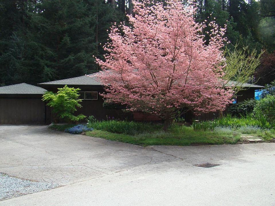 1st image of 133 Beth Dr