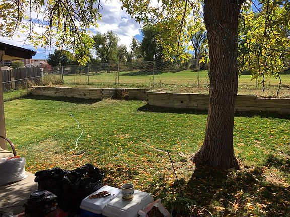 Back yard with park behind.