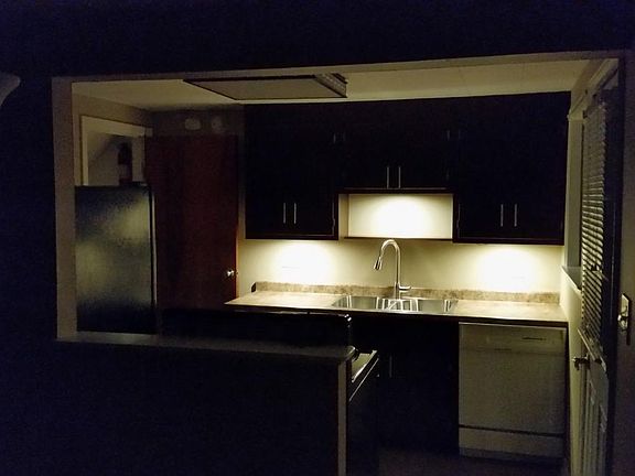 Under cabinet LED lighting on switch