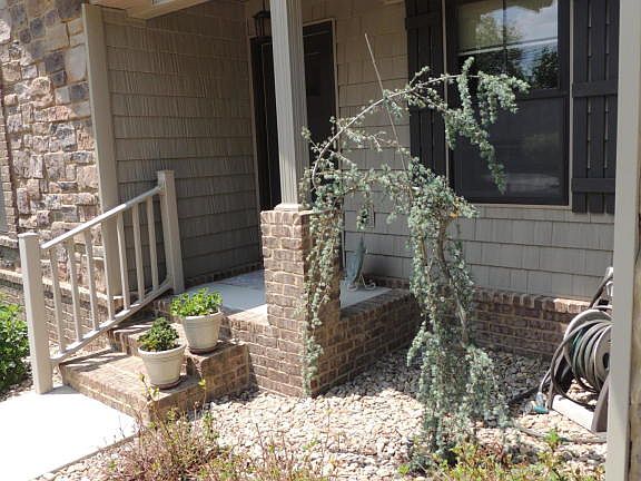 3rd image of 263 Rotherham Dr