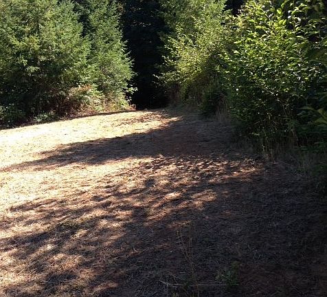 5th image of 3650 NW Blacktail Dr