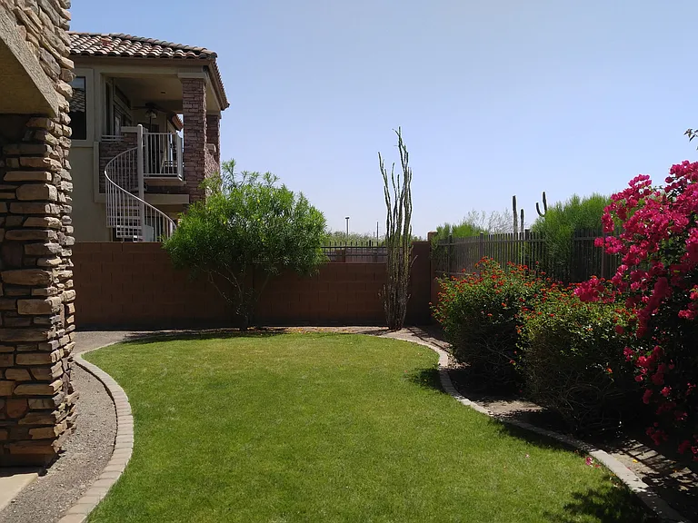 Backyard south view