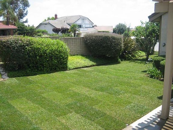 Large grass yard.