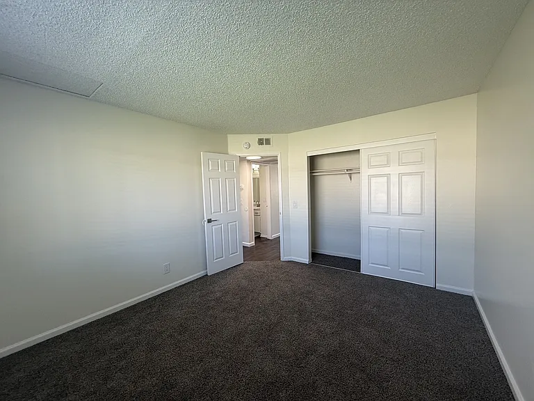 Spacious bedroom and closet.
