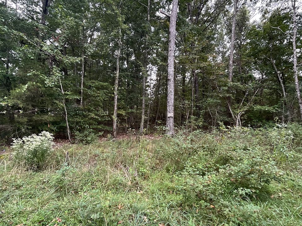 2nd image of 0 Rimfire Dr Lot 4