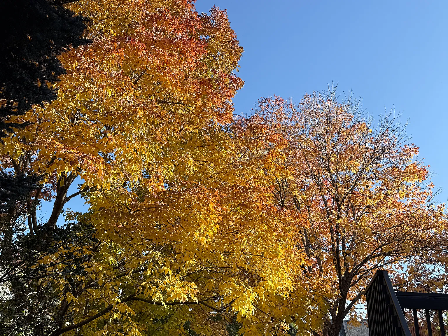 W Vassar Dr, Lakewood — Photo 1