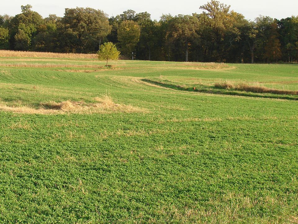 Slightly Terraced Land