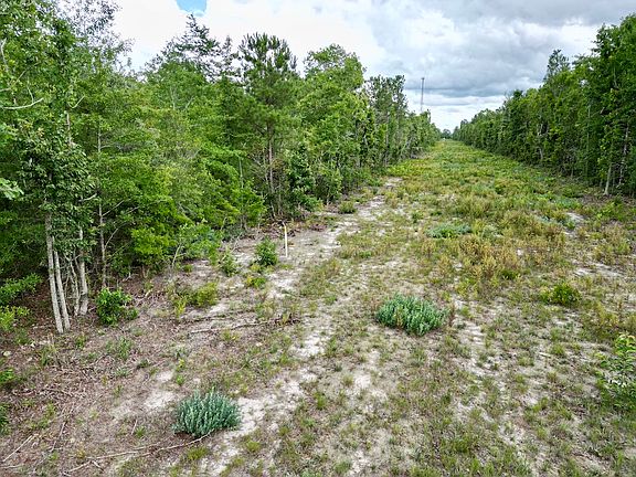 5th image of 0 Charleston Hwy Lot Wp00b