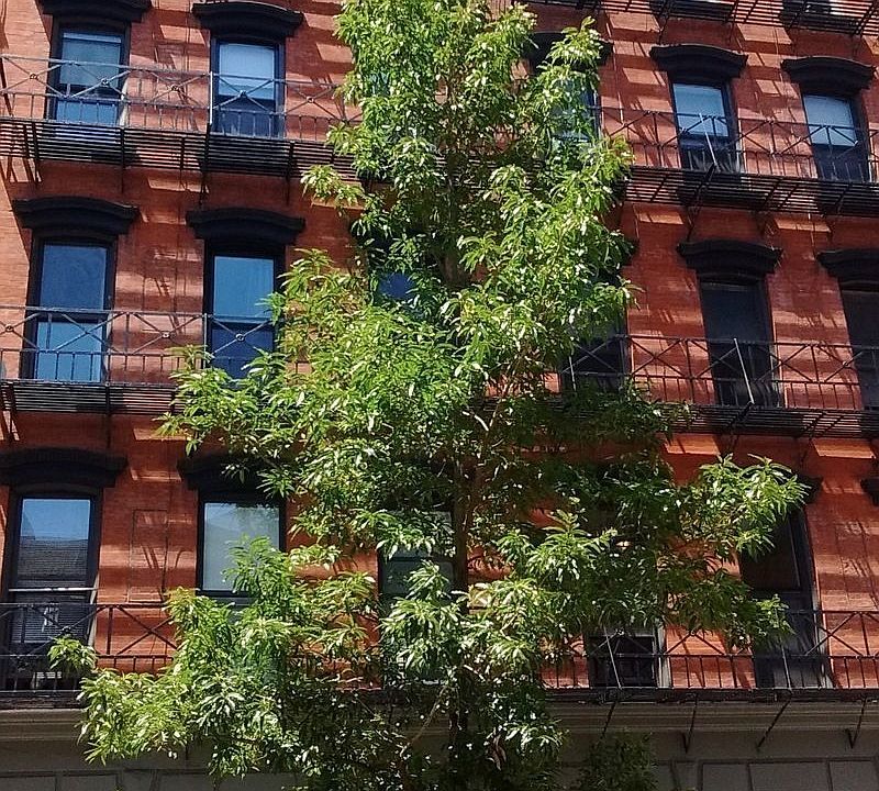 1st image of 27 Jones St APT 5C