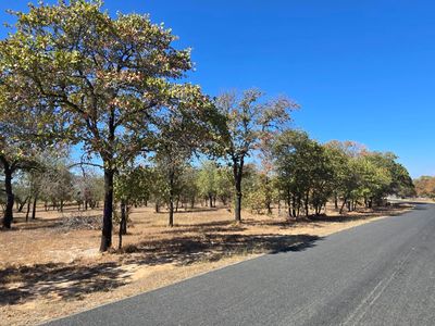 CB 4163A Redfern Drive Lot #113 LOT 113, San Antonio, TX, 78264