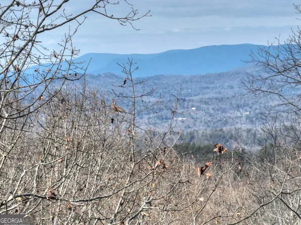 Lts 159 160 Hickory Trce, Ellijay, GA 30536